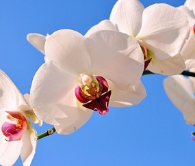 延庆正规助孕捐卵机构，附正规捐卵机构报名表！